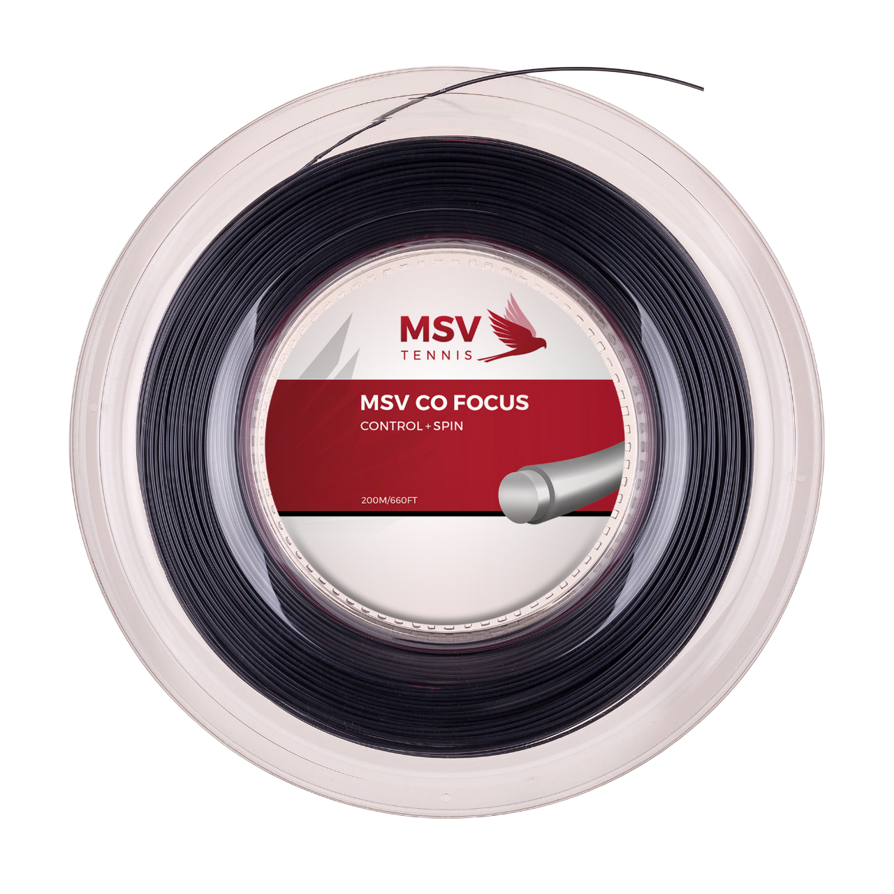 MSV Co Focus