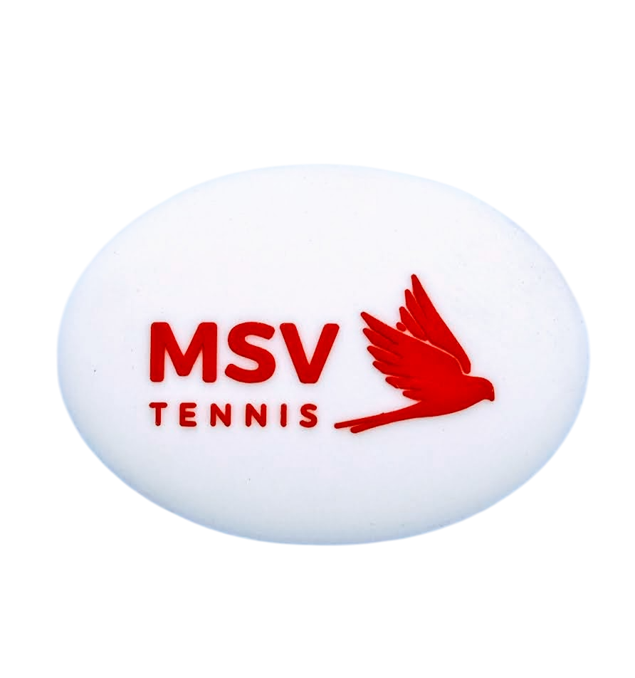 MSV Vibrationsdämpfer