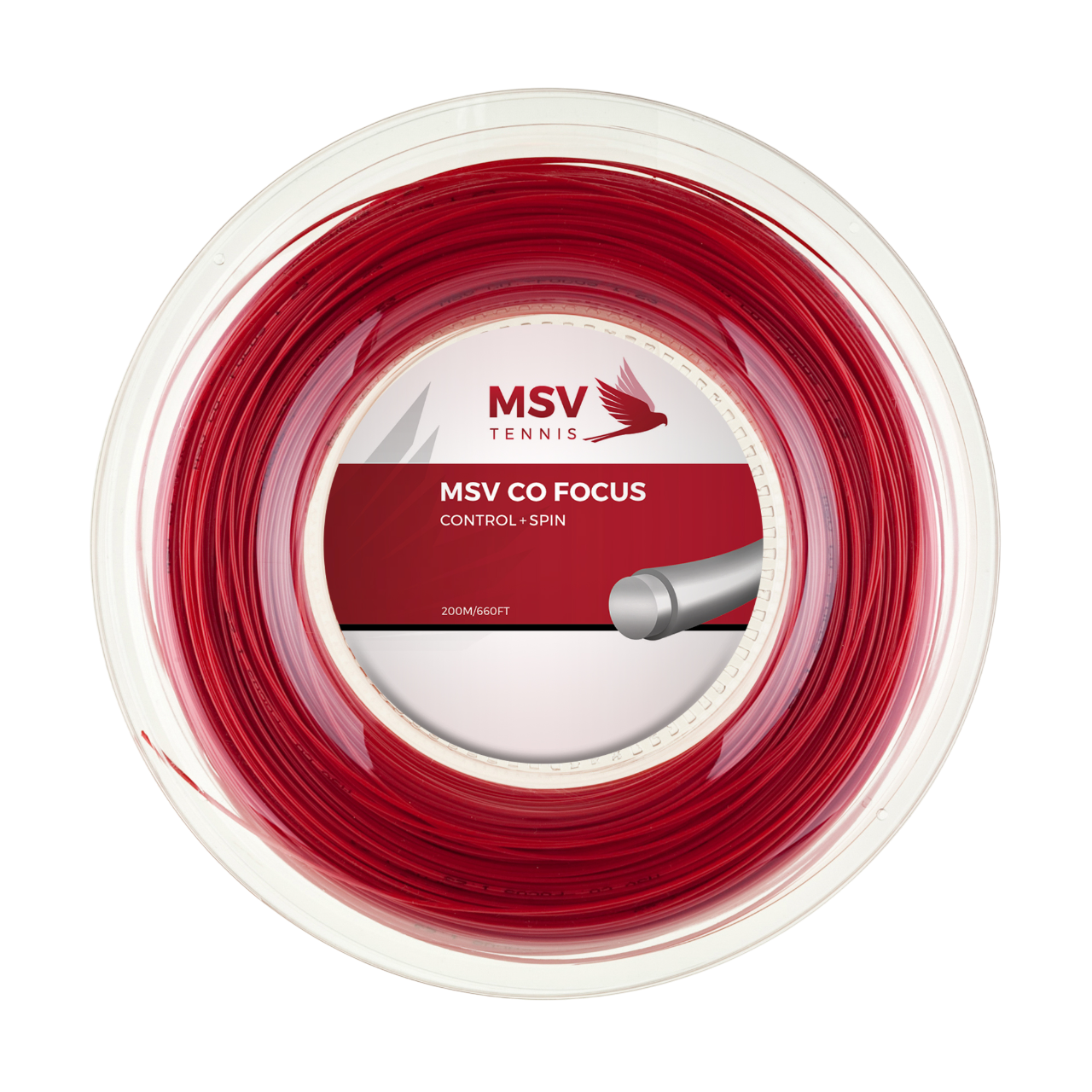 MSV Co Focus