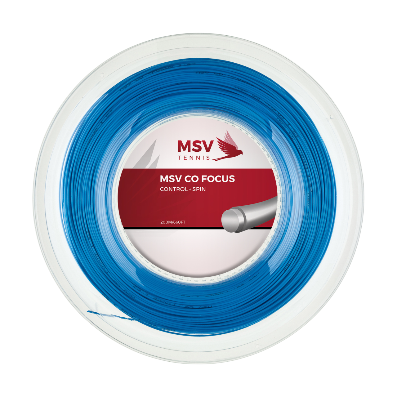 MSV Co Focus