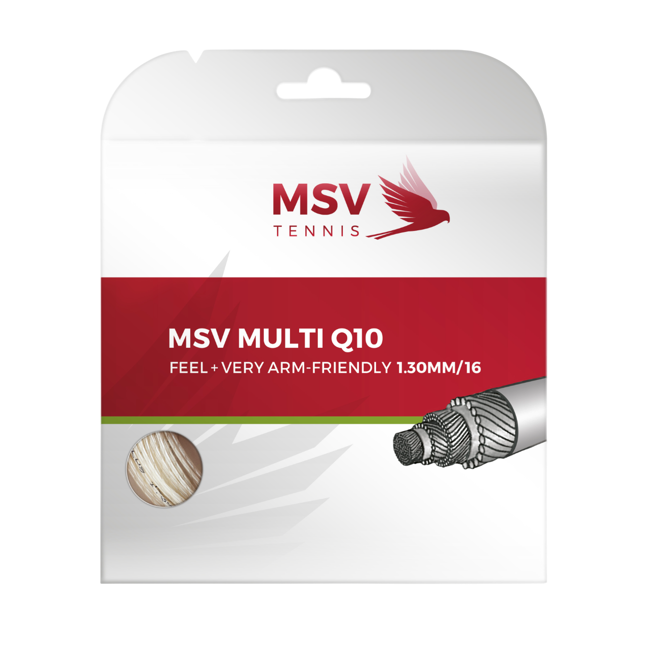 MSV Multi Q10
