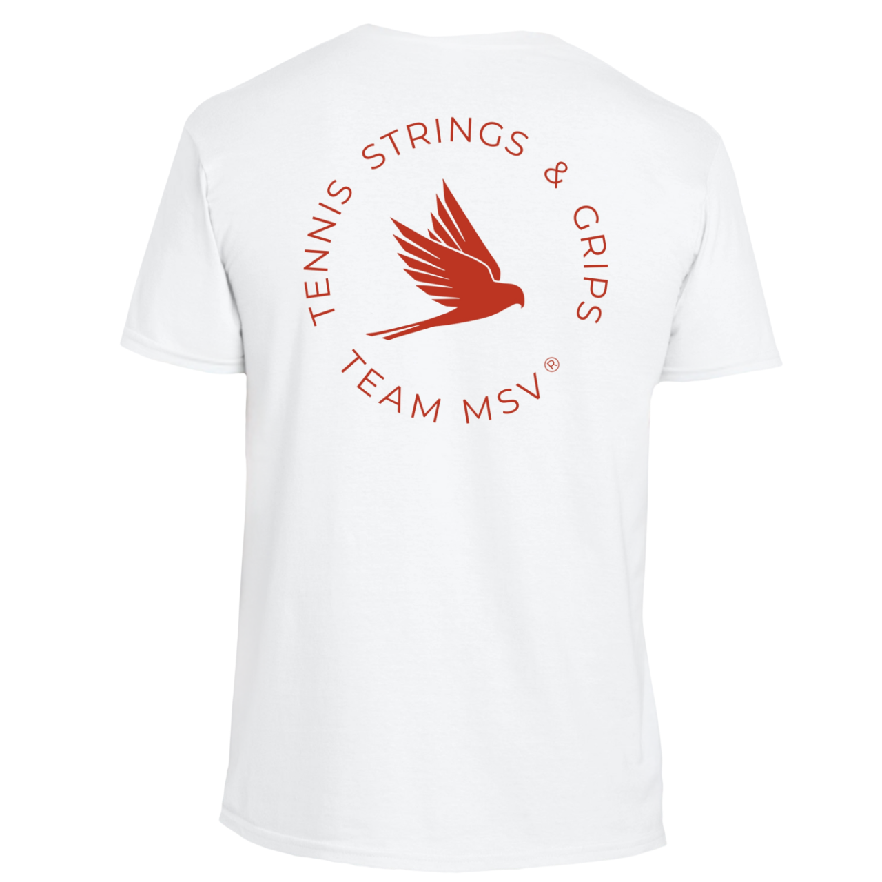 Camiseta del equipo MSV
