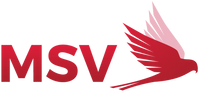 MSV Tennis
