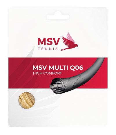 MSV Multi Q06