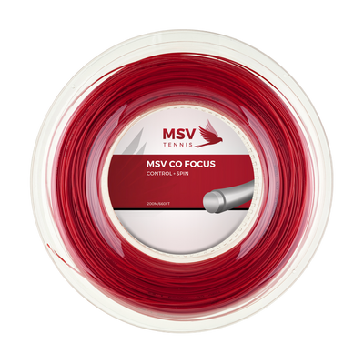 MSV Co Focus