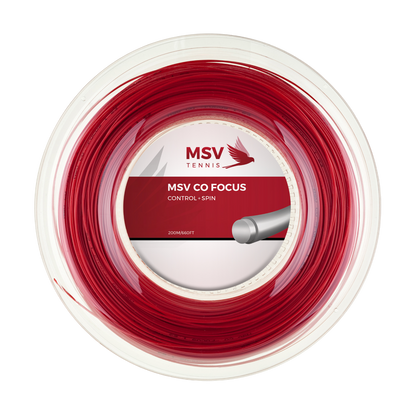 MSV Co Focus