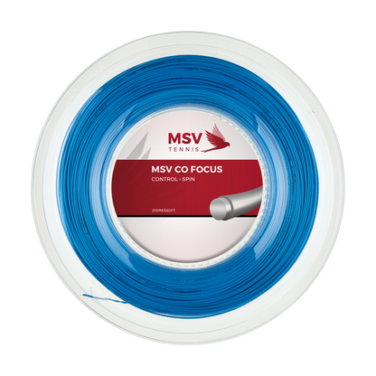 MSV Co Focus