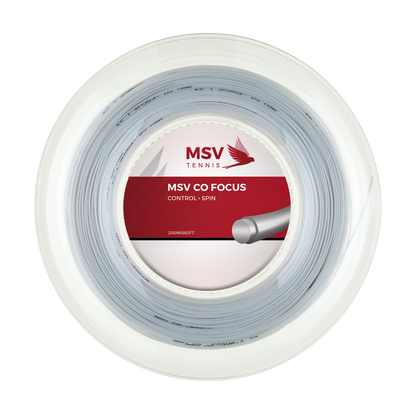 MSV Co Focus