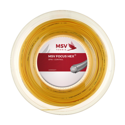 MSV Focus Hex®