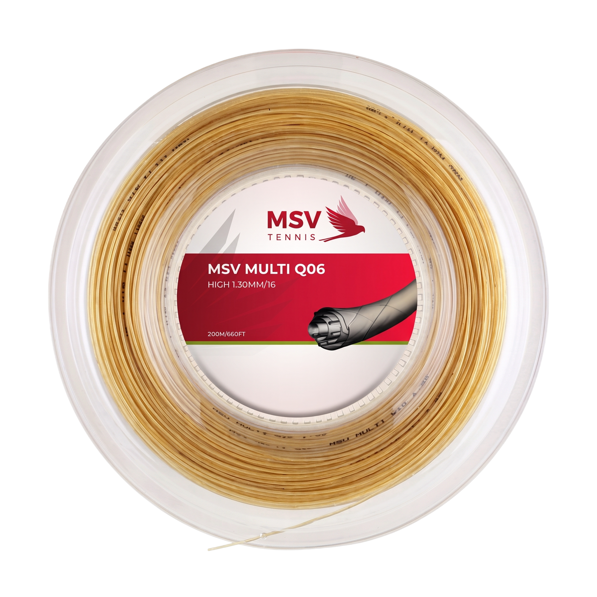 MSV Multi Q06