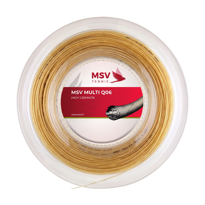 MSV Multi Q06