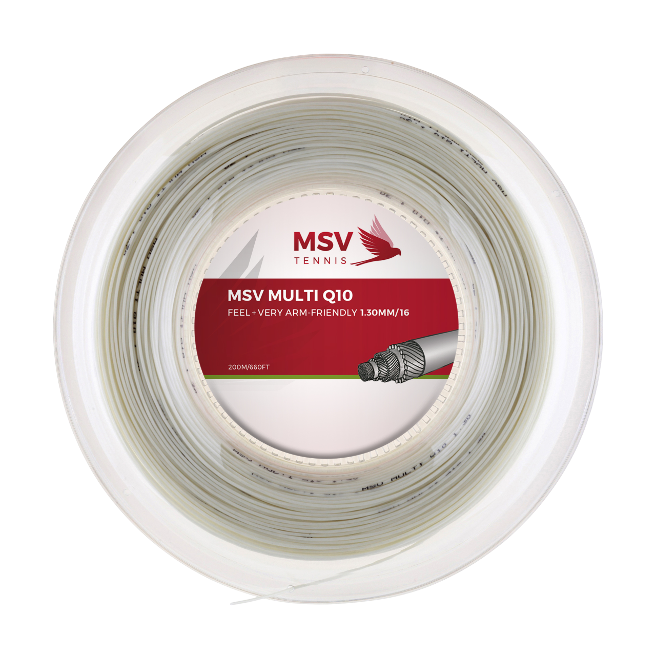 MSV Multi Q10