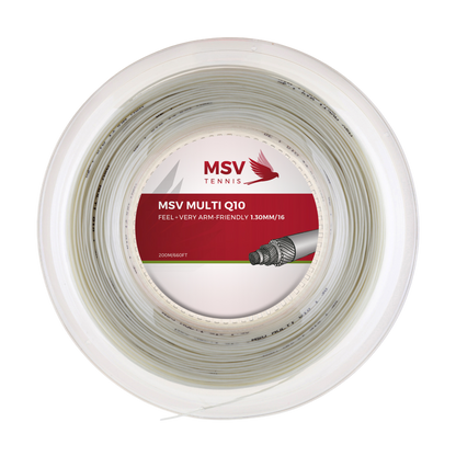 MSV Multi Q10